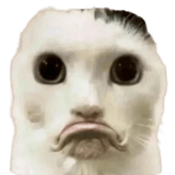 836420675
