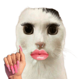 836420677
