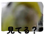 836425564
