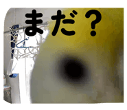 836425565