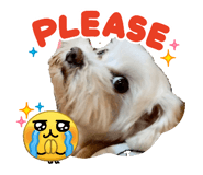 836430653
