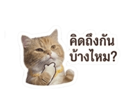 836431650