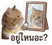 836431662