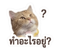 836431664