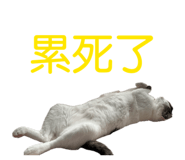 836442478