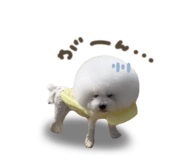 836444991