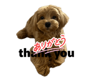 836445433