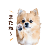836447184