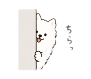 836464429