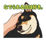 836464632
