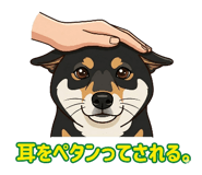 836464635
