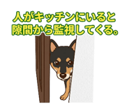 836464636