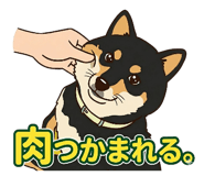 836464637