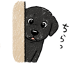 836465769