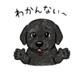 836465779