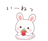 836494877