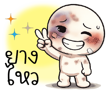 ลายที่ 13