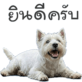 ลายที่ 6