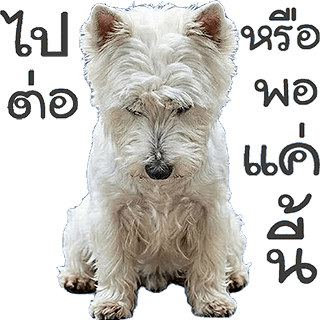ลายที่ 15