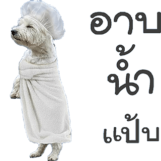 ลายที่ 16