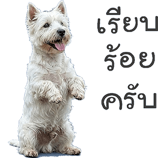 ลายที่ 17