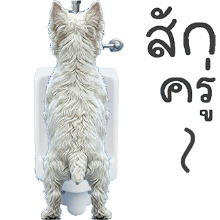 ลายที่ 34