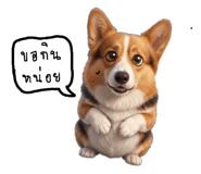 836502127
