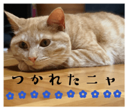836508348