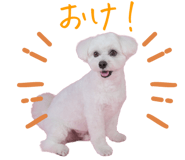 836515916