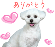 836515917