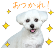 836515919