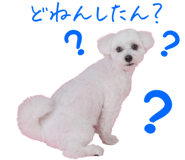 836515923