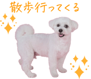 836515926