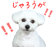 836515928