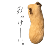 836521555