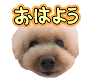 836521573