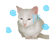 836544102