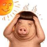 836545295