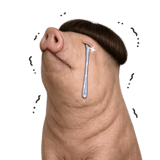 836545301