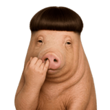 836545308