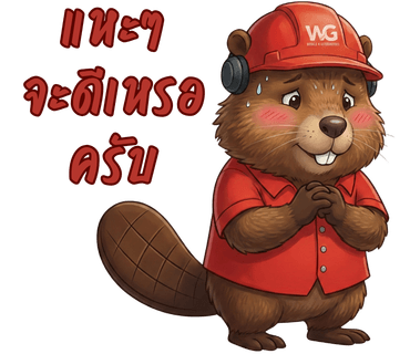 ลายที่ 27