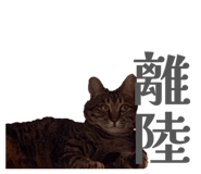 836547346