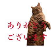 836547348