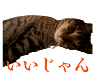 836547356