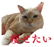 836547359