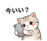 836553928