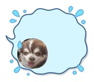 836554590