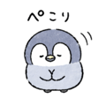 836555902