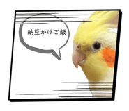 836572603