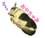 836589186